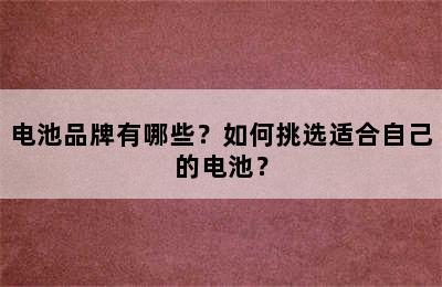 电池品牌有哪些？如何挑选适合自己的电池？