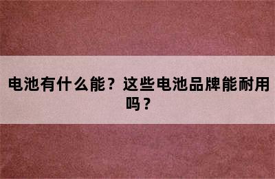 电池有什么能？这些电池品牌能耐用吗？