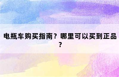 电瓶车购买指南？哪里可以买到正品？