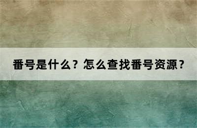 番号是什么？怎么查找番号资源？