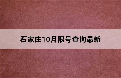 石家庄10月限号查询最新