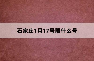 石家庄1月17号限什么号