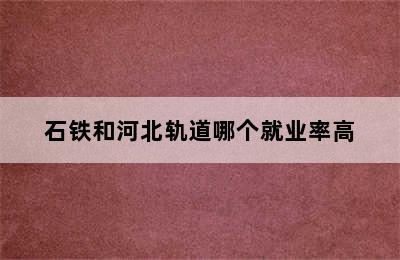 石铁和河北轨道哪个就业率高