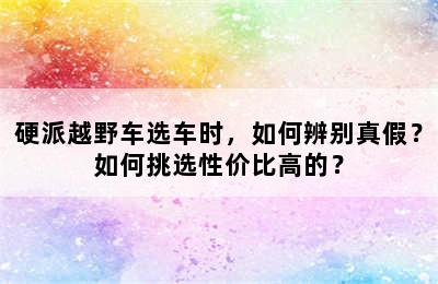 硬派越野车选车时，如何辨别真假？如何挑选性价比高的？