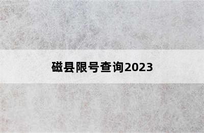 磁县限号查询2023