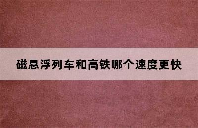 磁悬浮列车和高铁哪个速度更快