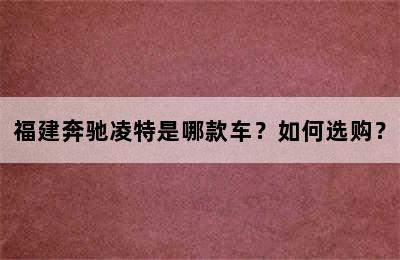 福建奔驰凌特是哪款车？如何选购？