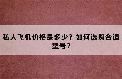 私人飞机价格是多少？如何选购合适型号？