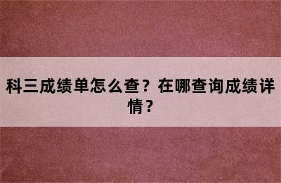 科三成绩单怎么查？在哪查询成绩详情？