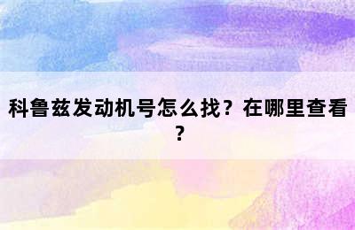 科鲁兹发动机号怎么找？在哪里查看？