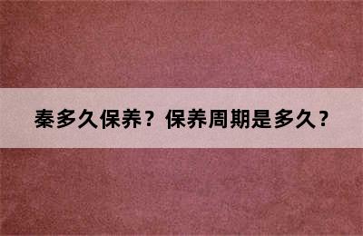 秦多久保养？保养周期是多久？