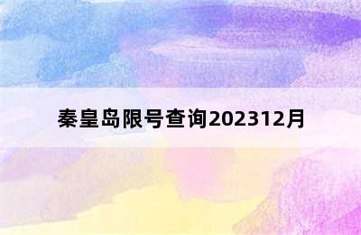 秦皇岛限号查询202312月