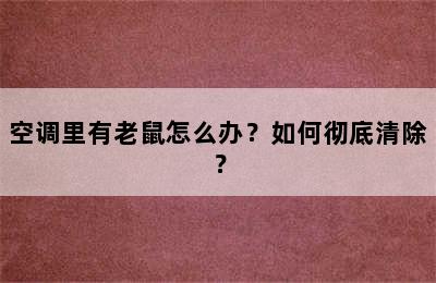 空调里有老鼠怎么办？如何彻底清除？