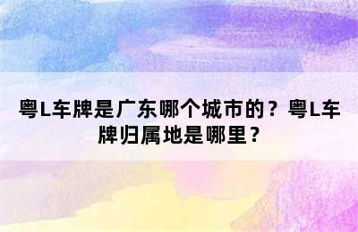 粤L车牌是广东哪个城市的？粤L车牌归属地是哪里？