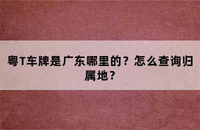 粤T车牌是广东哪里的？怎么查询归属地？