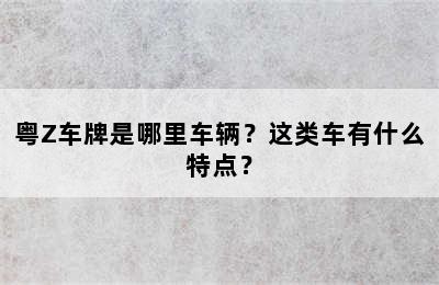 粤Z车牌是哪里车辆？这类车有什么特点？