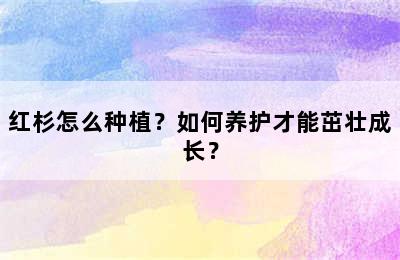 红杉怎么种植？如何养护才能茁壮成长？