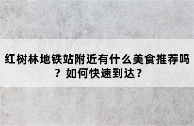 红树林地铁站附近有什么美食推荐吗？如何快速到达？