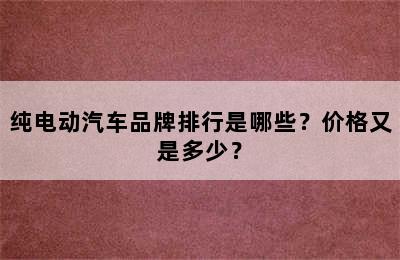 纯电动汽车品牌排行是哪些？价格又是多少？