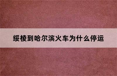 绥棱到哈尔滨火车为什么停运