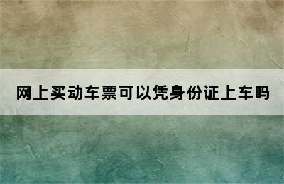 网上买动车票可以凭身份证上车吗