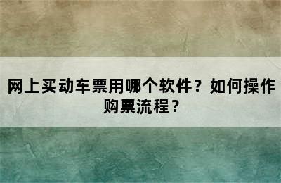 网上买动车票用哪个软件？如何操作购票流程？