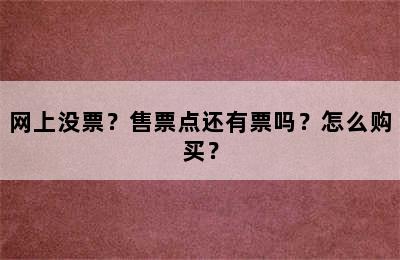 网上没票？售票点还有票吗？怎么购买？