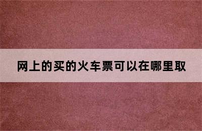 网上的买的火车票可以在哪里取