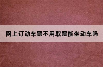 网上订动车票不用取票能坐动车吗