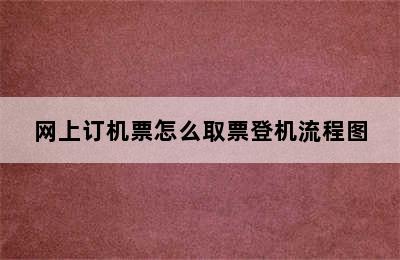 网上订机票怎么取票登机流程图