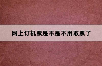 网上订机票是不是不用取票了