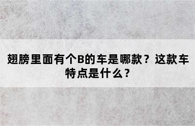 翅膀里面有个B的车是哪款？这款车特点是什么？