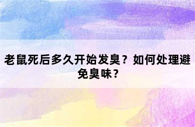 老鼠死后多久开始发臭？如何处理避免臭味？