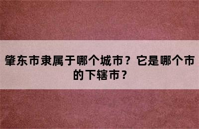 肇东市隶属于哪个城市？它是哪个市的下辖市？