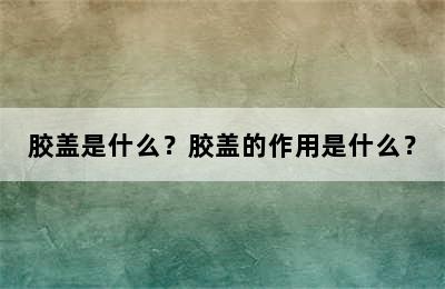 胶盖是什么？胶盖的作用是什么？