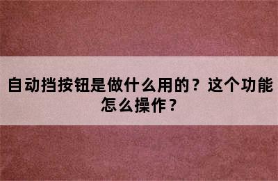 自动挡按钮是做什么用的？这个功能怎么操作？