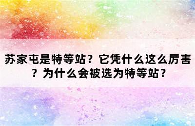 苏家屯是特等站？它凭什么这么厉害？为什么会被选为特等站？