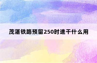 茂湛铁路预留250时速干什么用