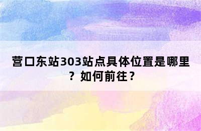 营口东站303站点具体位置是哪里？如何前往？