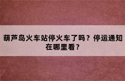 葫芦岛火车站停火车了吗？停运通知在哪里看？