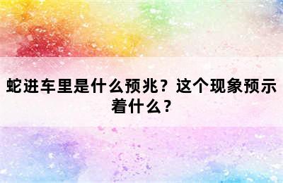 蛇进车里是什么预兆？这个现象预示着什么？