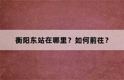 衡阳东站在哪里？如何前往？