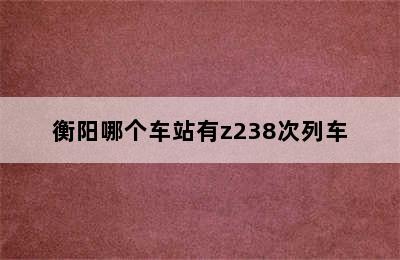 衡阳哪个车站有z238次列车