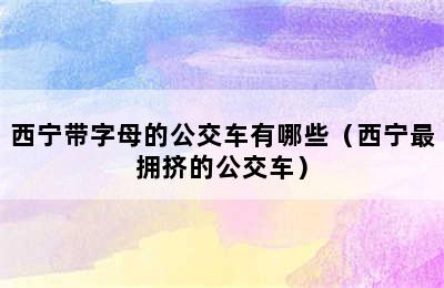 西宁带字母的公交车有哪些（西宁最拥挤的公交车）