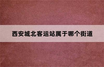 西安城北客运站属于哪个街道