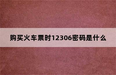 购买火车票时12306密码是什么