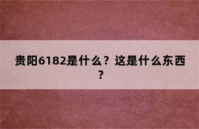 贵阳6182是什么？这是什么东西？