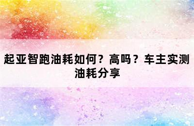 起亚智跑油耗如何？高吗？车主实测油耗分享