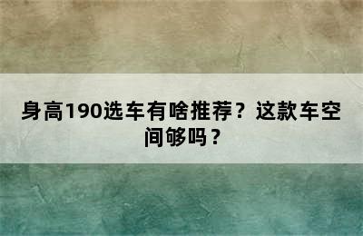 身高190选车有啥推荐？这款车空间够吗？