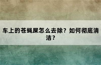 车上的苍蝇屎怎么去除？如何彻底清洁？